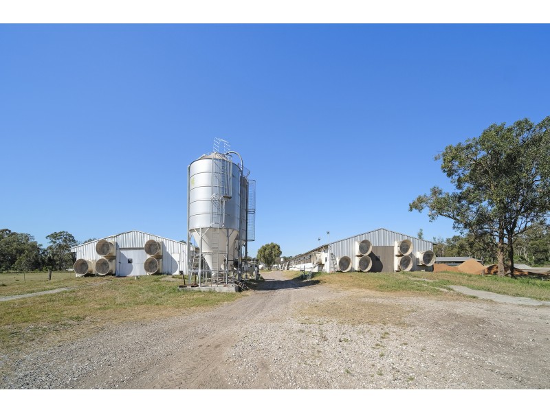 995 Richardson Road, Campvale NSW 2318