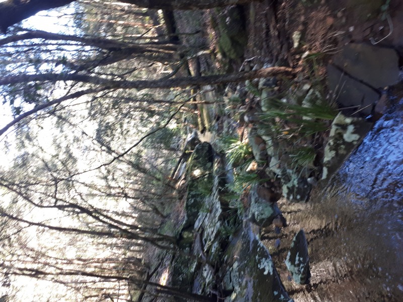 1391 The Branch Lane, Karuah NSW 2324