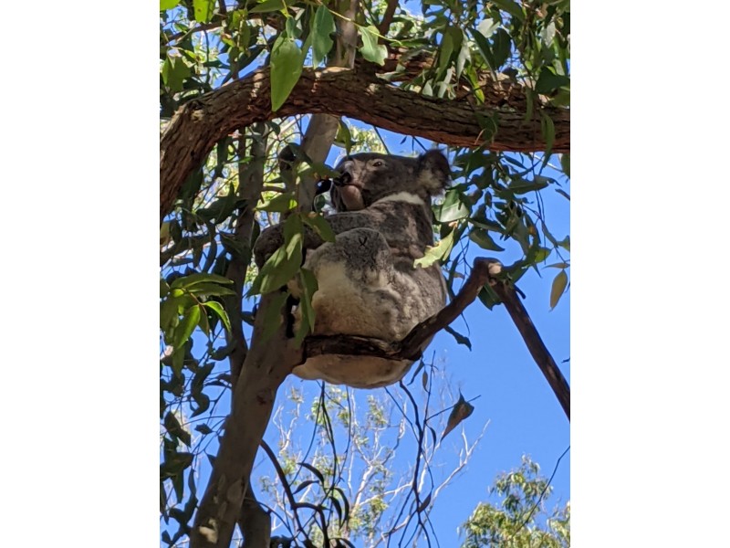 1391 The Branch Lane, Karuah NSW 2324