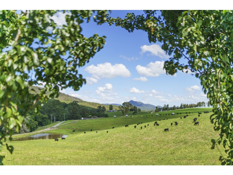 1368 Mill Creek Road, Stroud NSW 2425