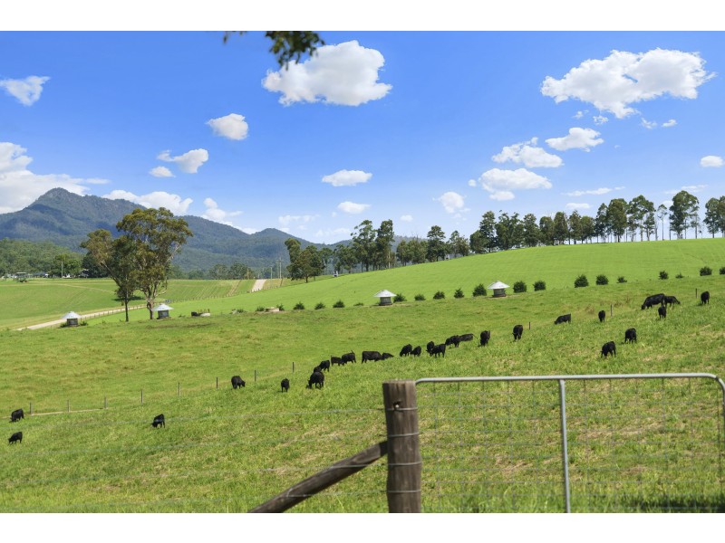 1368 Mill Creek Road, Stroud NSW 2425