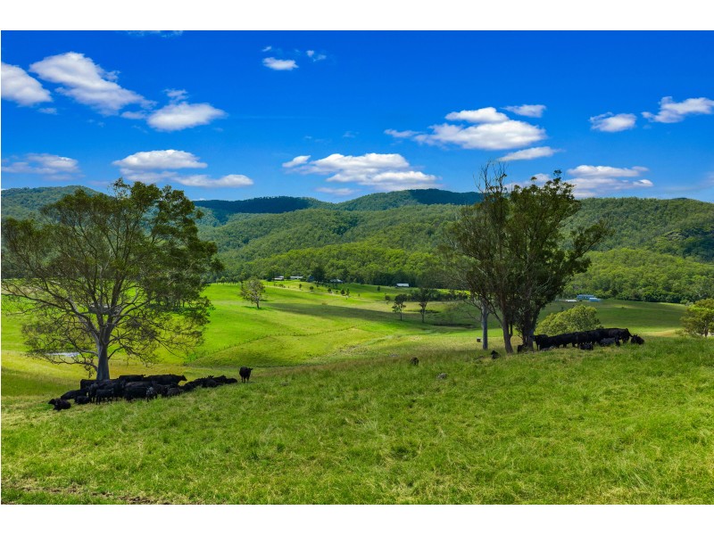 1233 Mill Creek Road, Stroud NSW 2425