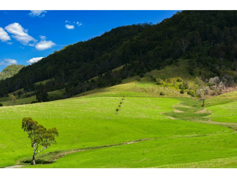 1233 Mill Creek Road, Stroud NSW 2425