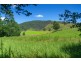 1233 Mill Creek Road, Stroud NSW 2425