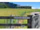 1233 Mill Creek Road, Stroud NSW 2425