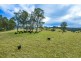 75 Spring Creek, Wards River NSW 2422