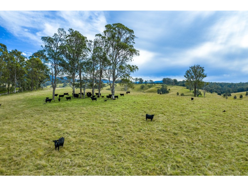 75 Spring Creek, Wards River NSW 2422