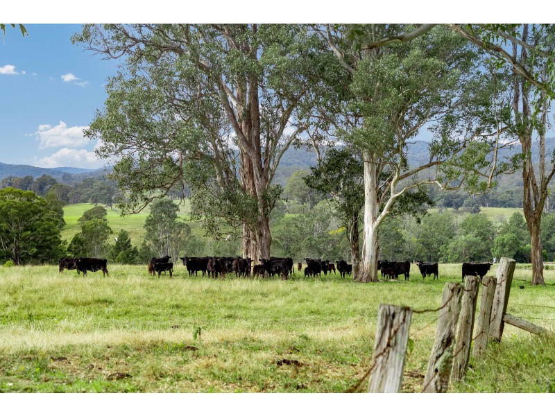 75 Spring Creek, Wards River NSW 2422