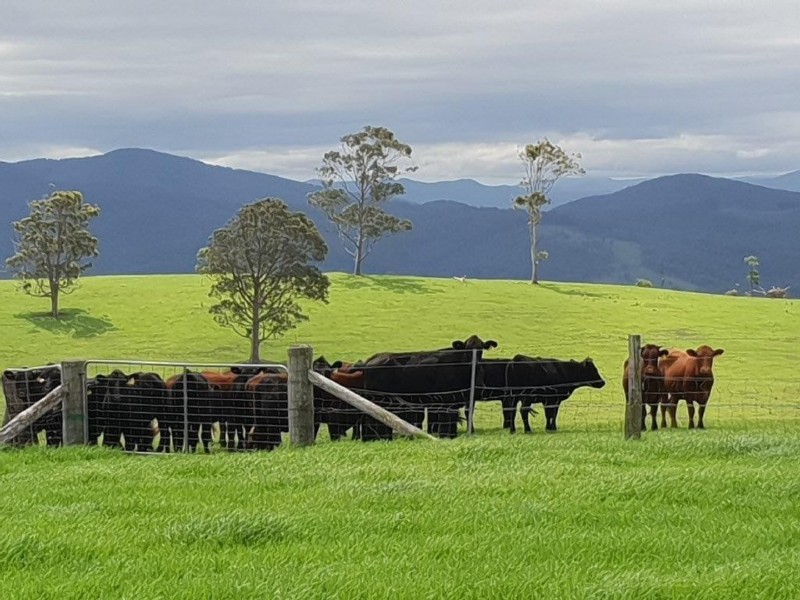 1420 Ebsworth Road, Glen Martin NSW 2321