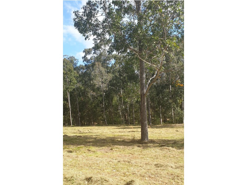 160 Boatfalls Drive, Clarence Town NSW 2321