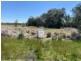 2383 Nelson Bay Road, Williamtown NSW 2318