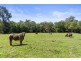 2603 The Bucketts Way, Stroud NSW 2425