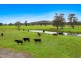 235 Newline Road, Raymond Terrace NSW 2324