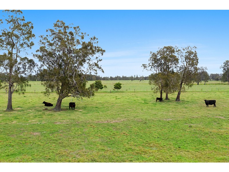 235 Newline Road, Raymond Terrace NSW 2324