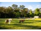 2653 The Bucketts Way, Stroud NSW 2425