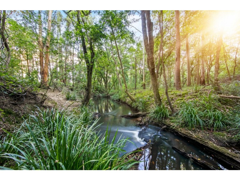 2653 The Bucketts Way, Stroud NSW 2425