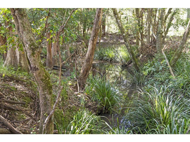 Lot 2, 36 Greys Lane, Girvan NSW 2425
