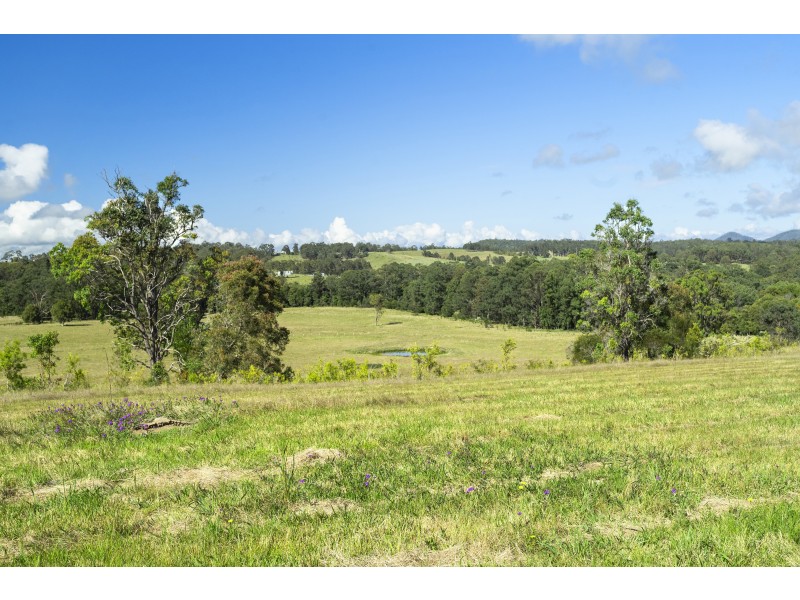 Lot 2, 36 Greys Lane, Girvan NSW 2425