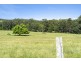 Lot 2, 36 Greys Lane, Girvan NSW 2425