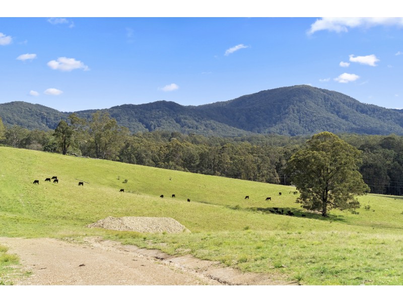 Lot 1, 36 Greys Lane, Girvan NSW 2425
