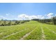 Lot 1, 36 Greys Lane, Girvan NSW 2425