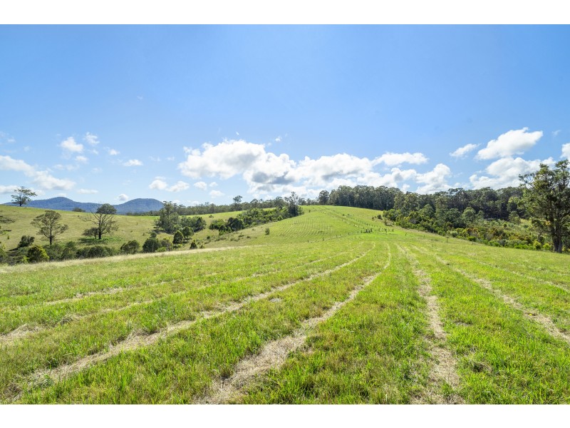 Lot 1, 36 Greys Lane, Girvan NSW 2425