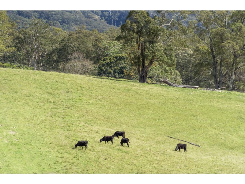 Lot 1, 36 Greys Lane, Girvan NSW 2425