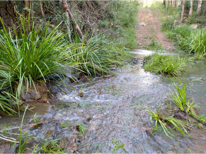 586 Fords Road, Limeburners Creek NSW 2324