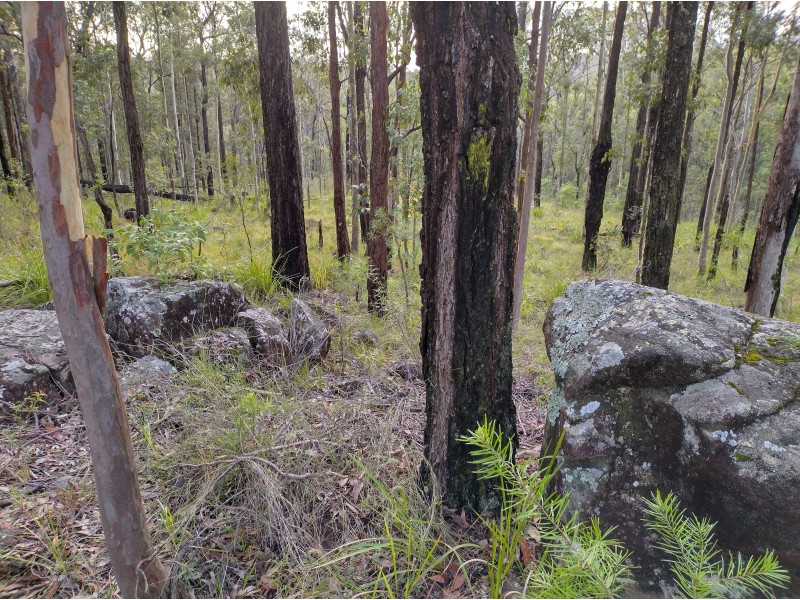 586 Fords Road, Limeburners Creek NSW 2324