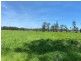2374 Nelson Bay Road (4 titles), Williamtown NSW 2318