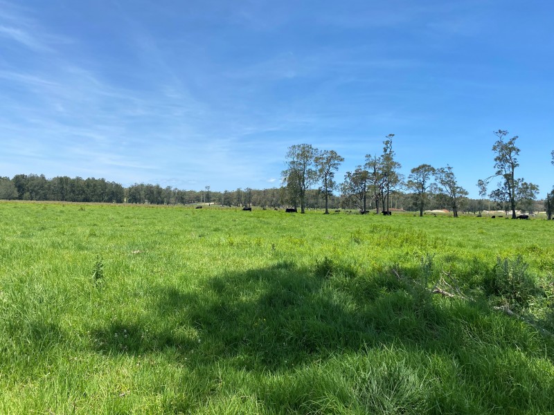 2374 Nelson Bay Road (4 titles), Williamtown NSW 2318