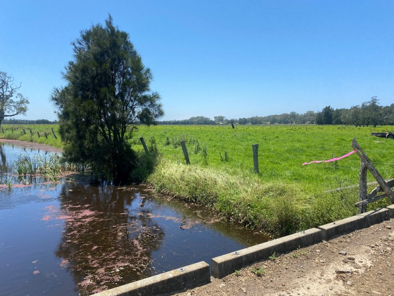 2374 Nelson Bay Road (4 titles), Williamtown NSW 2318