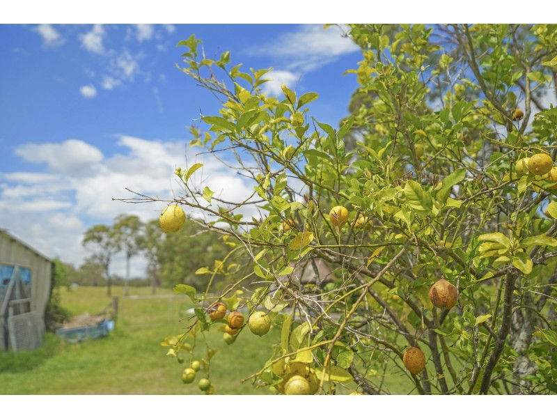 4486 Pacific Highway, Twelve Mile Creek NSW 2324