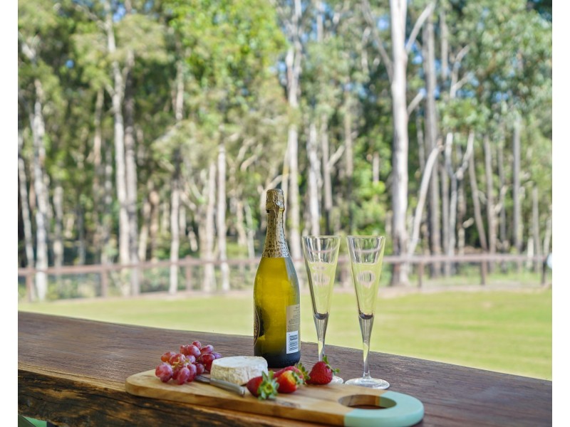 41 Timbertop Road, Glen Oak NSW 2320