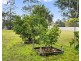 71 Durham Street, Clarence Town NSW 2321