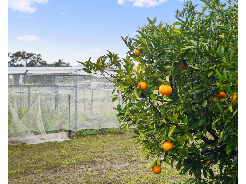 71 Durham Street, Clarence Town NSW 2321