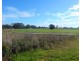 Binns Street, Raymond Terrace NSW 2324