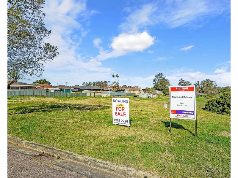 Binns Street, Raymond Terrace NSW 2324