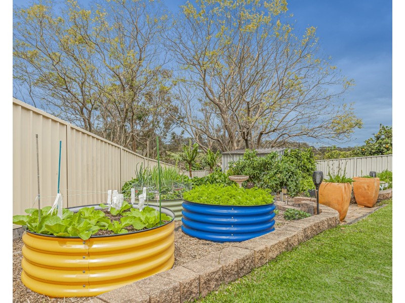 3 Orchard Place, Raymond Terrace NSW 2324
