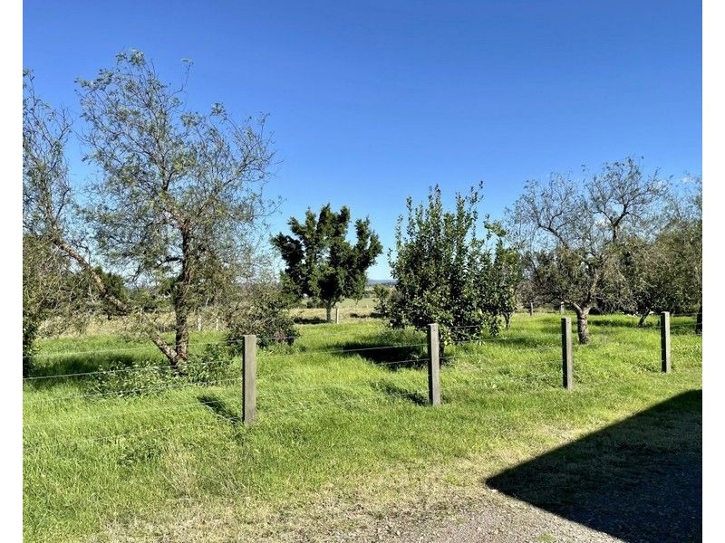 810 Hinton Road, Osterley NSW 2324