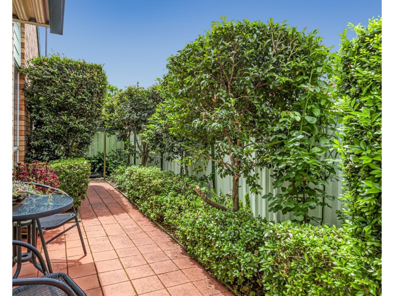 3 Hospital Hill Court, Raymond Terrace NSW 2324