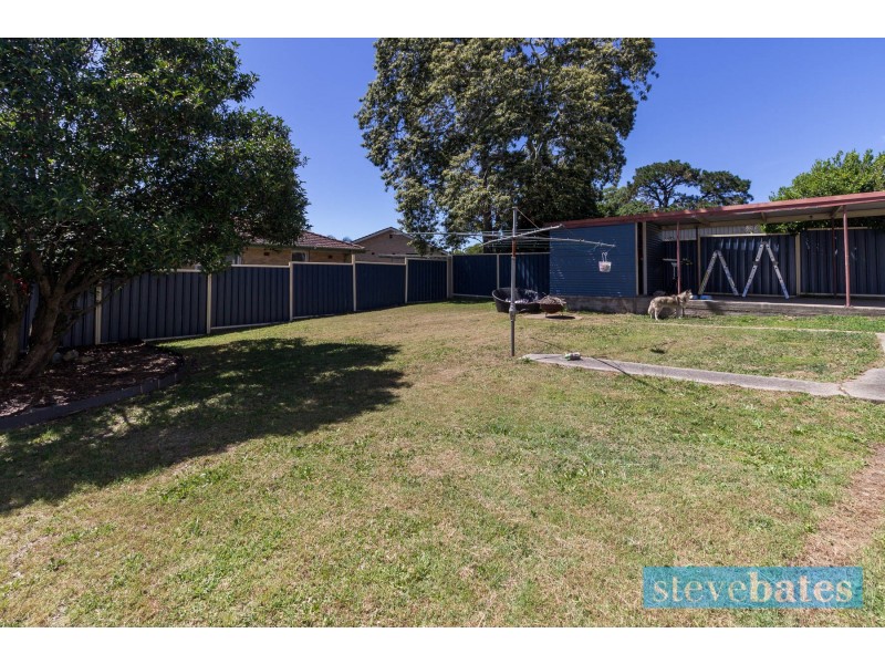 141 Watt Street, Raymond Terrace NSW 2324
