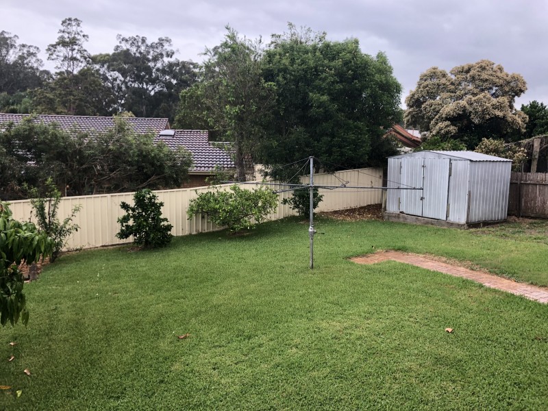 57 Kindlebark Drive, Medowie NSW 2318