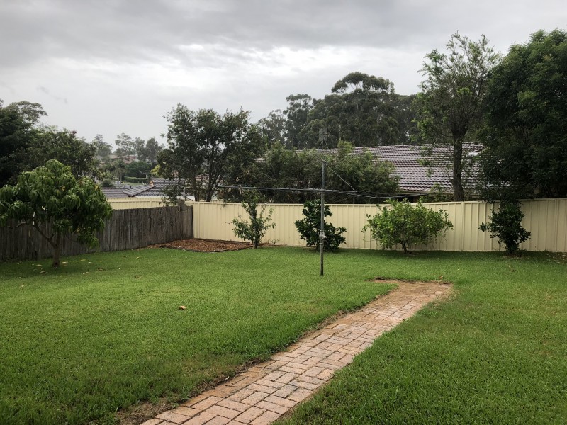 57 Kindlebark Drive, Medowie NSW 2318