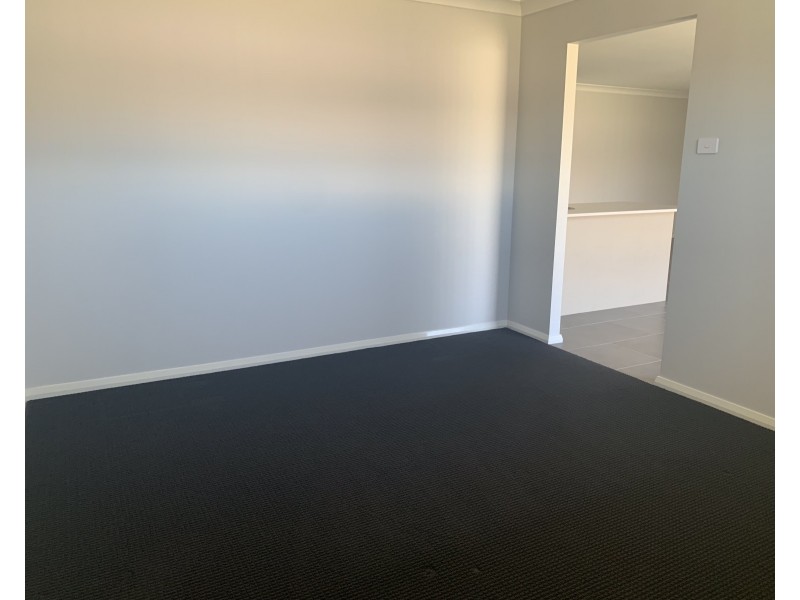 66 Tarragon Way, Chisholm NSW 2322