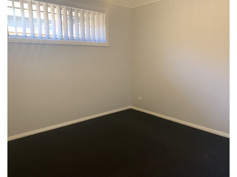 66 Tarragon Way, Chisholm NSW 2322