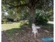 12 Rees James Road, Raymond Terrace NSW 2324