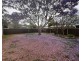 18 Salamander Place, Raymond Terrace NSW 2324