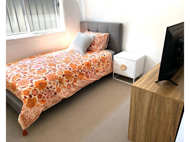 14 Selina Close, Raymond Terrace NSW 2324