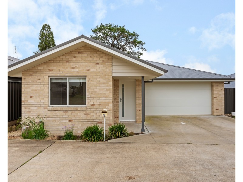 14 Selina Close, Raymond Terrace NSW 2324
